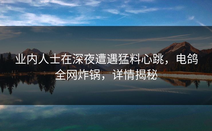 业内人士在深夜遭遇猛料心跳，电鸽全网炸锅，详情揭秘