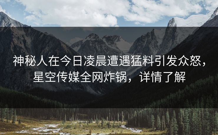 神秘人在今日凌晨遭遇猛料引发众怒，星空传媒全网炸锅，详情了解