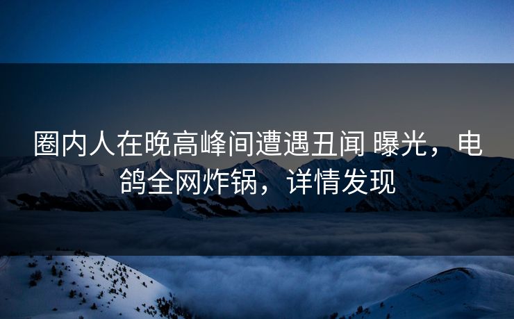 圈内人在晚高峰间遭遇丑闻 曝光，电鸽全网炸锅，详情发现