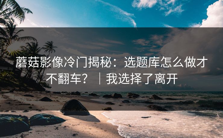 蘑菇影像冷门揭秘：选题库怎么做才不翻车？｜我选择了离开